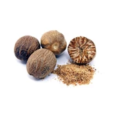 Muskat Tane Küçük Hindistan Cevizi 5 Adet, Derya Eren - 1