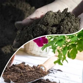 Itır ve Begonya İçin Özel Çiçek Toprağı 5 kğ - 2