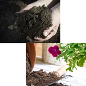 Domates Biber vb İçin Özel Sebze Toprağı 10 kğ - 2