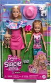 Barbie Ve Stacie Kız Kardeşler İkili Set HRM09 - 4