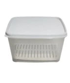 Geseus Moonstar Süzgeçli Peynir Saklama Kabı 2 Litre BPA FREE-MS06 - 2