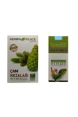 Herbal Palace Çam Kozalağı Macunu + Farmaex Çam Kozalağı Özü Ikili Avantajlı Kış Seti - 1