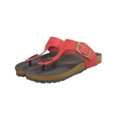 Pierre Cardin Anatomik Taban Süet Parmak Arası Bayan Terlik thumbnail 3