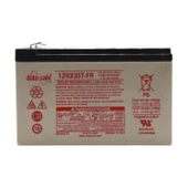 ENERSYS DATASAFE 12V HX35T-FR 10 YIL ÖMÜR BEKLENTİLİ BAKIMSIZ KURU TİP AGM VRLA AKÜ - 1