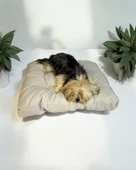 Pouf White Kedi Köpek Minderi 70 x 80 cm - 2