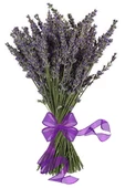 Kurutulmuş Lavanta Buketi 100-120 Adet Dal Çiçeği Mor - 1