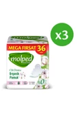 MOLPED Pure Soft Mega Fırsat Uzun Ultra 36 Lı X 3 Adet - 2