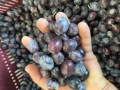 Selelik Ham Gemlik Tipi Ham Yeşil Zeytin - 2