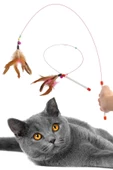 btmhome Çıngıraklı ve Renkli Tüylü Kedi Oyun Oltası 90 Cm - İpli Kedi Oyuncağı - 2