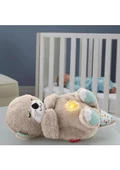 Fisher Price Uyku ve Oyun Arkadaşı Su Samuru FXC66 - 3