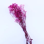 Kuru Çiçek Doğal Kurutulmuş Çiçek Doğal Cipso 40 CM 20 GR  Kırmızı - 1