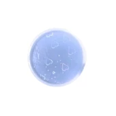 Epoksi Magnet Kalıbı Kendinden Hologramlı   Yuvarlak Model - 2