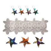 Epoksi Silikon Kalıp Deniz Yıldızı Anahtarlık Ve Magnet Kalıbı 10 Lu thumbnail 1