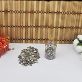 Umbinium Kiloluk Deniz Kabuğu (1 KG) - 2