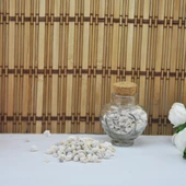 Nassa Shell Kavrulmuş Kiloluk Deniz Kabuğu (1 KG) - 2