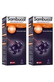 Sambucol Plus Kara Mürver Özütü C Vitamini Çinko 120 ml 2 Adet thumbnail 1