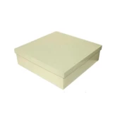 Komple Karton Kutu 30X30X10 CM (10 Adet)  Krem - 1