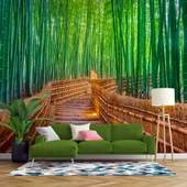 Bambu Ormanı Manzaralı Duvar Kağıdı thumbnail 1