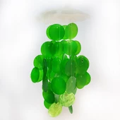 Sedef Rüzgar Çanı Tekli 8 İnç Yeşil Ve Naturel - 1
