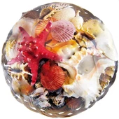 Fruit Of The Sea 35 CM - 1
