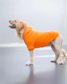 Orange Kapşonlu Sweatshirt, Orta ve Büyük Irklar İçin - 5