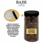 Çekirdekli Sarı Besni Üzümü İri Boy 600 gr. - 4