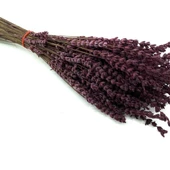 Şoklanmış Lavanta Demeti 100 gr Mürdüm - 1
