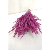 Pembe Lavanta Demeti Şoklanmış 100 gr - 1