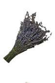 Özenle Mor Dönemde Kurutulmuş 2 Adet Lavanta Demeti 40-50 cm - 3