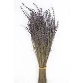 Gerçek Lavanta Demeti 40-50 cm Şoklanmış Naturel Hardal - 1