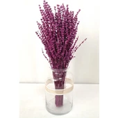 Pembe Lavanta Demeti Şoklanmış 100 gr - 2