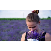 Lavanta Demeti Lavender Bundle 20 Adet 100 gr Lila - 4