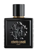 Roberto Cavalli Uomo Edt 100 Ml Erkek Parfüm - 1