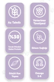 Pawgo Premier Perfection 2 Kg Tavuk Etli Hypoallergenic Premium Kedi Maması-düşük Tahıllı - 2