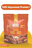 Pawgo Mini Majesty 2 Kg Küçük Irk Kuzu Etli Premium Yetişkin Köpek Maması - 1