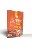 Pawgo Mini Majesty 2 Kg Küçük Irk Kuzu Etli Premium Yetişkin Köpek Maması - 3