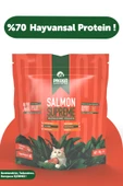 Pawgo Salmon Supreme 2 Kg Sterilised Hypoallergenic Kısırlaştırılmış Somon Balıklı Premium Kedi Maması - 1