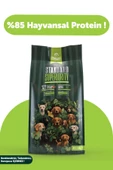 Pawgo Standard Superiority Kuzu Etli Yetişkin Köpek Maması 15 Kg - 1