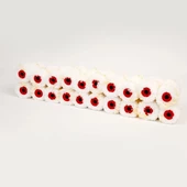 Parmak Rulo Yedeği 10 Adet - 3