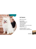 Reflex Plus Pomerian Yetişkin Köpek Maması 2 kg thumbnail 4