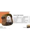 Reflex Plus Pomerian Yetişkin Köpek Maması 2 kg thumbnail 2