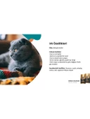 Reflex Plus British Shorthair Yetişkin Kedi Maması 1,5 kg - 2