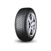 Dayton 215/55R16 93H DW510E 2023 Kış Lastiği thumbnail 1