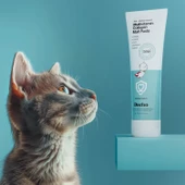 Docho Malt Kedi Macunu 100 gr ve Tüy Sağlığı Destekleyici Damla 50 ml Seti - 4