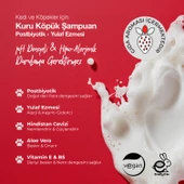 Docho Kedi ve Köpek Kuru Köpük Şampuan - Postbiyotik  150 ML - 3