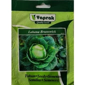 Lahana Brunswick Tohumu 5 Gr Cabbage Brunswick Seed - 2
