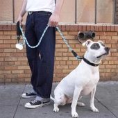 Reflektörlü Fosforlu Köpek Gezdirme Halatı Tasma Kayışı Metal Kancalı 130 Cm - 5