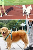 Reflektörlü Fosforlu Köpek Gezdirme Halatı Tasma Kayışı Metal Kancalı 130 Cm - 7