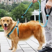 Reflektörlü Fosforlu Köpek Gezdirme Halatı Tasma Kayışı Metal Kancalı 130 Cm - 2