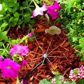 10 Metre Bahçe Damlama Sulama Sistemi Seti Hortum Ve Ek Parçaları - 6